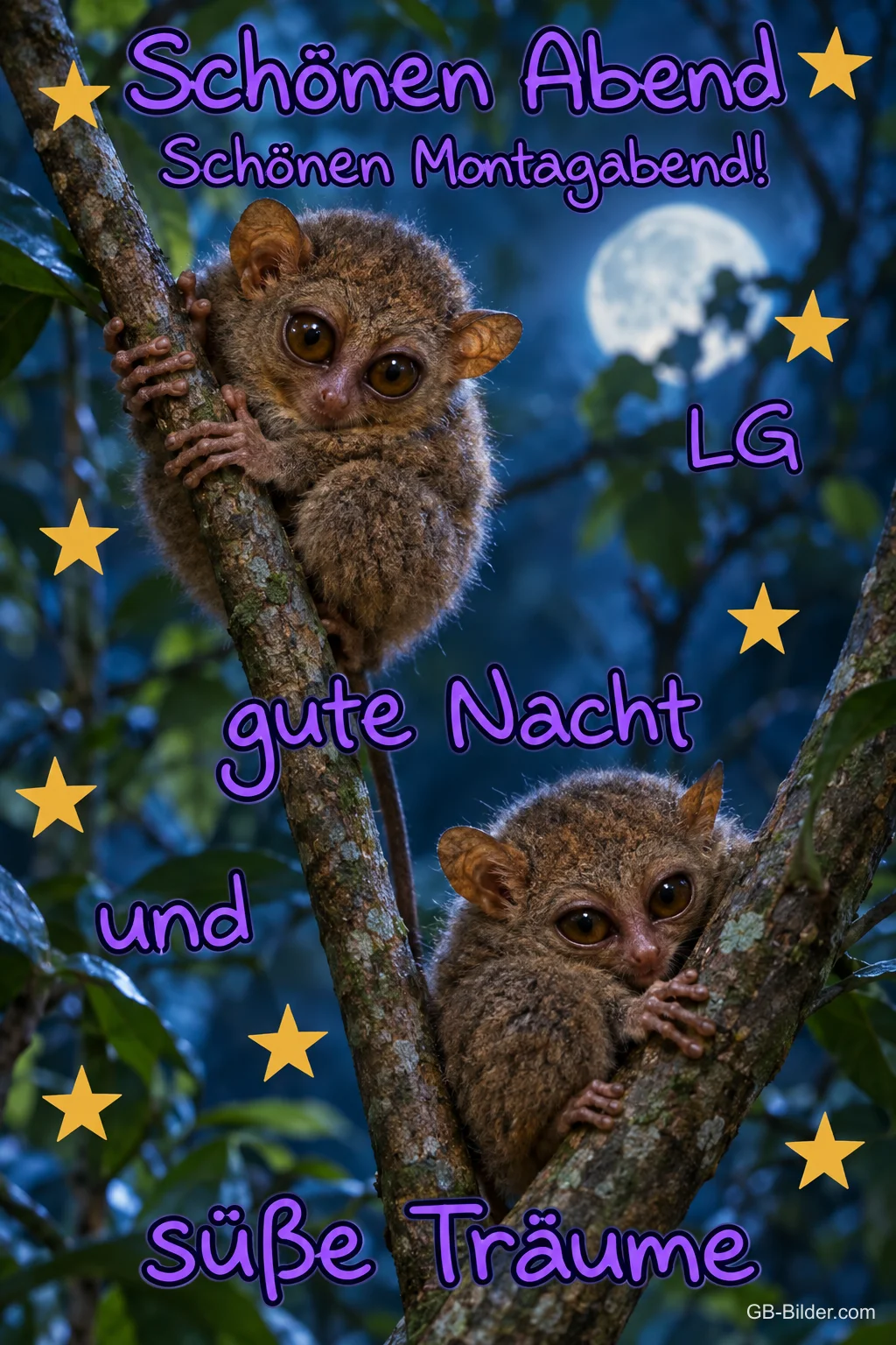 Zwei Koboldmakis klettern an einem Baum unter Sternen, Text: Schönen Abend – Schönen Montagabend! LG gute Nacht und süße Träume