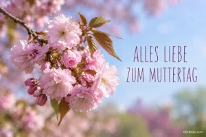 Rosa Kirschblütenzweig vor blauem Himmel, Text: ALLES LIEBE ZUM MUTTERTAG