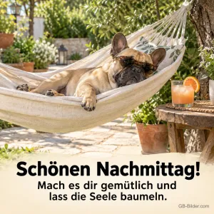 Bulldogge mit Sonnenbrille in der Hängematte, Text: Schönen Nachmittag!