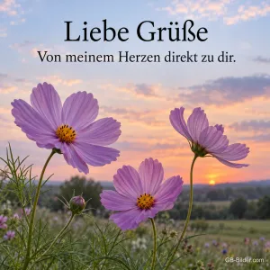 Schmuckkörbchen im Sonnenuntergang, Text: Liebe Grüße – Von meinem Herzen direkt zu dir.