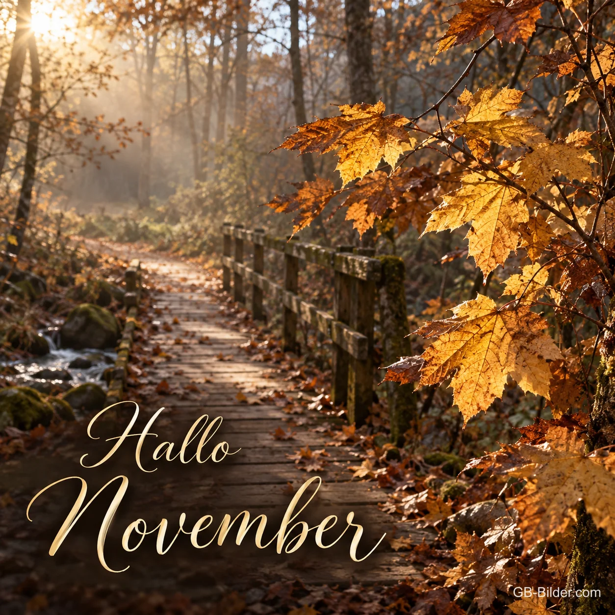Holzsteg durch einen sonnigen Herbstwald, Text: Hallo November Holzsteg durch einen sonnigen Herbstwald, Text: Hallo November