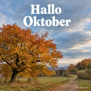Großer Herbstbaum an einem Feldweg, Text: Hallo Oktober