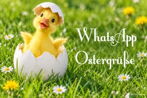 Küken schlüpft aus einem Ei auf der Frühlingswiese, Text: WhatsApp Ostergrüße