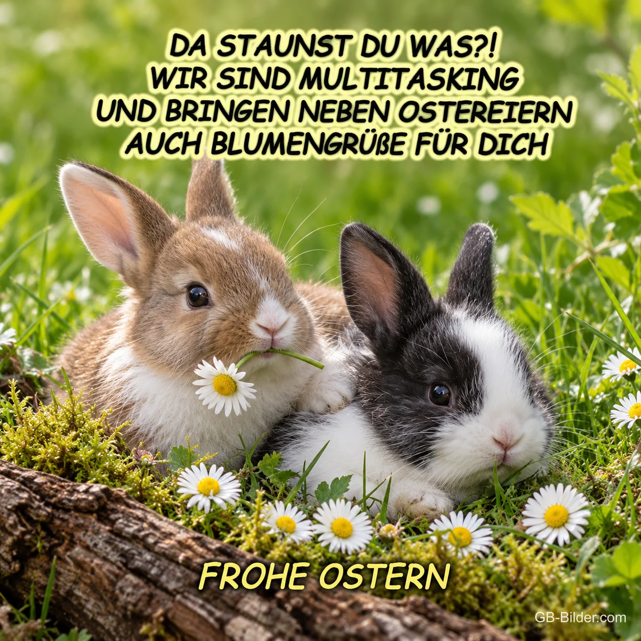 Zwei Kaninchen mit Gänseblümchen im Maul auf einer Wiese, Text: DA STAUNST DU WAS?! WIR SIND MULTITASKING UND BRINGEN NEBEN OSTEREIERN AUCH BLUMENGRÜßE FÜR DICH – FROHE OSTERN