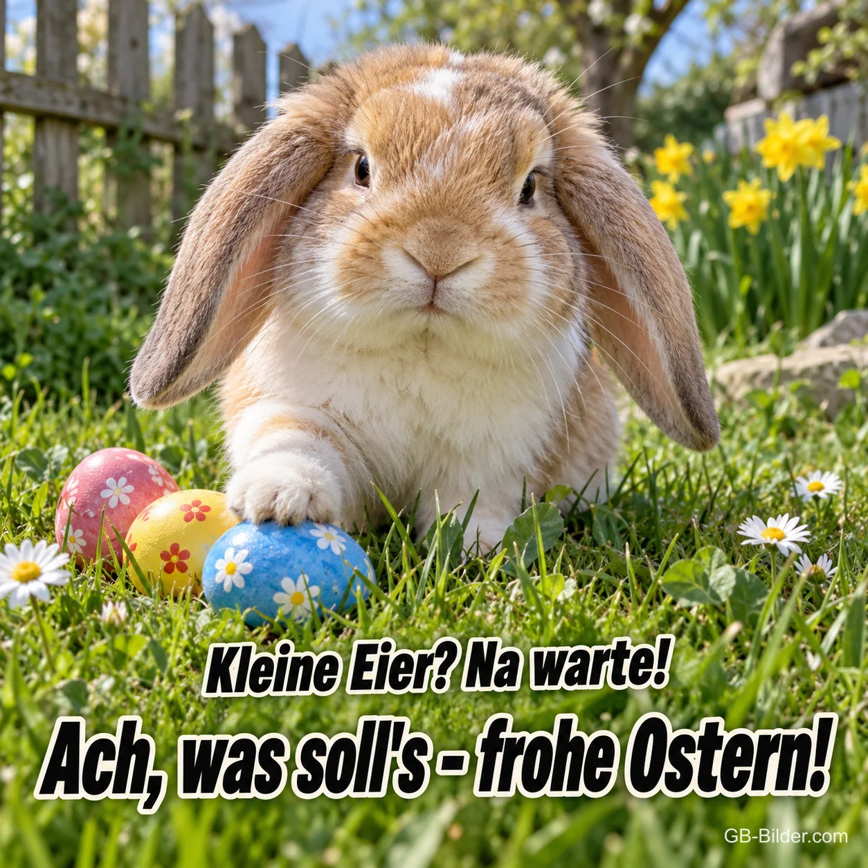 Widderkaninchen legt die Pfote auf ein Osterei, Text: Kleine Eier? Na warte! Ach, was soll’s – frohe Ostern!