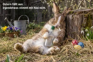 Erschöpfter Hase, lustiger Osterspruch, Text: Ostern fällt aus: irgendwas stimmt mit Hasi nicht