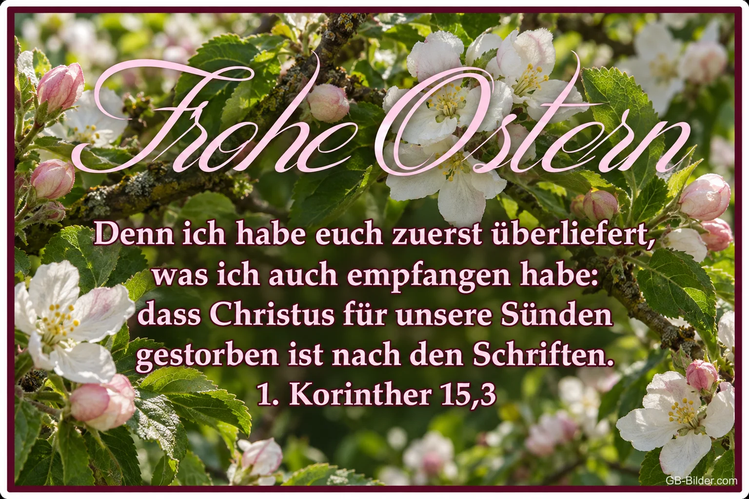Apfelblüten mit Bibelvers 1. Korinther 15,3, Text: Frohe Ostern