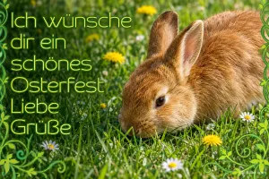Feldhase im Gras, Text: Ich wünsche dir ein schönes Osterfest Liebe Grüße