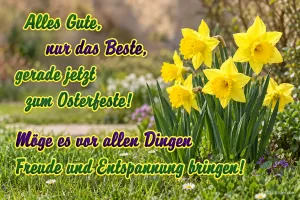 Gelbe Narzissen, Text: Alles Gute, nur das Beste, gerade jetzt zum Osterfeste