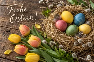 Nest mit bunten Ostereiern neben gelben Tulpen auf Holz, Text: Frohe Ostern!