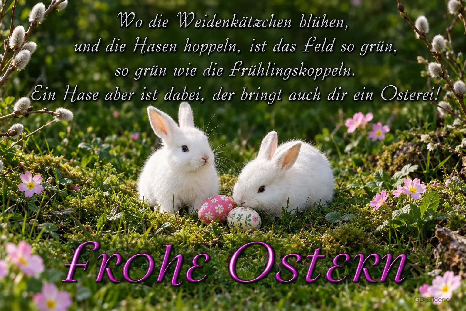 Zwei weiße Hasen mit Ostereiern auf einer Frühlingswiese, Text: Wo die Weidenkätzchen blühen, und die Hasen hoppeln, ist das Feld so grün, so grün wie die Frühlingskoppeln. Ein Hase aber ist dabei, der bringt auch dir ein Osterei! Frohe Ostern