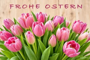 Rosa Tulpenstrauß vor Holzwand, Text: Frohe Ostern