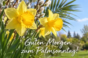 Narzissen und Weidenkätzchen vor blauem Himmel, Text: Guten Morgen – zum Palmsonntag!