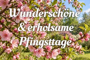 Rosa blühende Pfirsichzweige vor grüner Wiese, Text: Wunderschöne & erholsame Pfingsttage