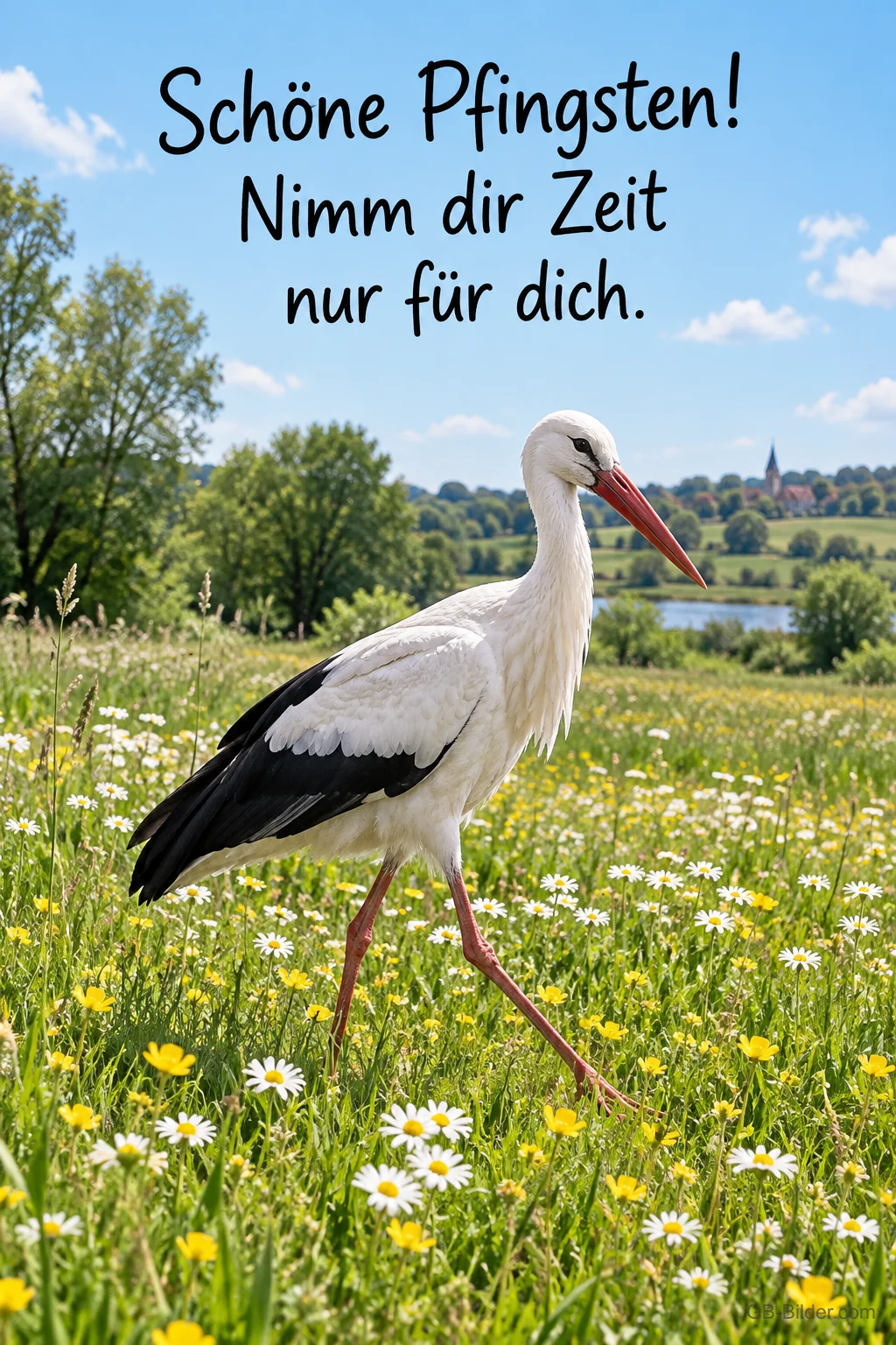 Weißstorch stolziert durch eine Blumenwiese, Text: Schöne Pfingsten! – Nimm dir Zeit nur für dich.