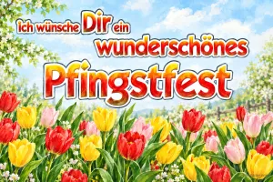 Rote, gelbe und rosa Tulpen auf einer Wiese, Text: Ich wünsche Dir ein wunderschönes Pfingstfest