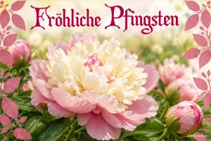 Rosa und cremeweiße Pfingstrosen mit Blattrahmen, Text: Fröhliche Pfingsten