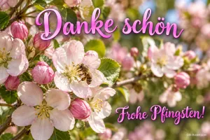 Rosa Apfelblüten mit einer Biene, Text: Danke schön – Frohe Pfingsten!