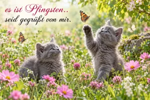 Zwei graue Kätzchen auf einer Blumenwiese, Text: Es ist Pfingsten, seid gegrüßt von mir.