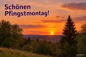 Sonnenuntergang über einer Hügellandschaft mit Tannen, Text: Schönen Pfingstmontag!