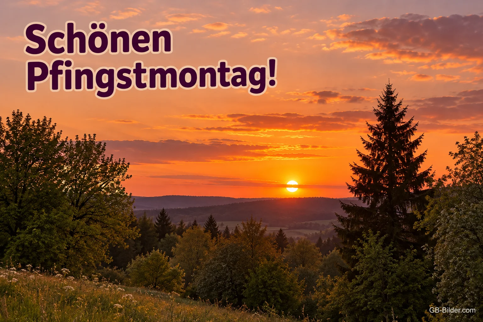Sonnenuntergang über einer Hügellandschaft mit Tannen, Text: Schönen Pfingstmontag!