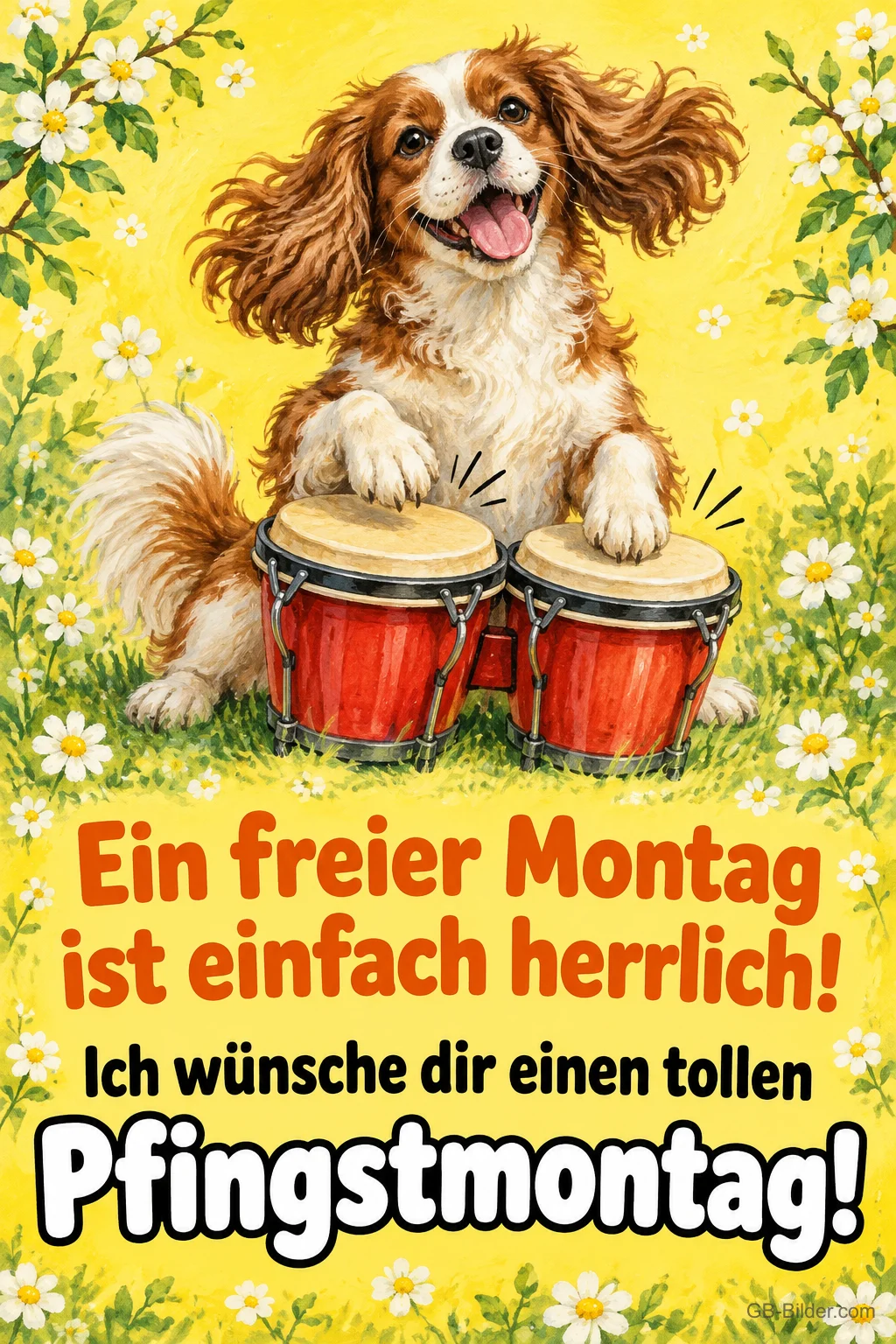 Spaniel trommelt fröhlich auf Bongos zwischen Gänseblümchen, Text: Ein freier Montag ist einfach herrlich! – Ich wünsche dir einen tollen Pfingstmontag!
