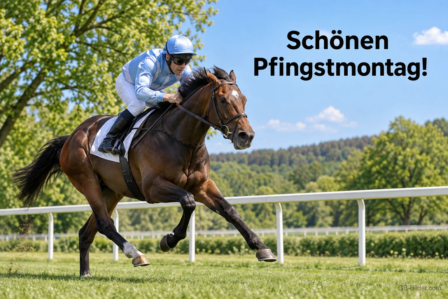 Jockey reitet ein galoppierendes Pferd auf der Rennbahn, Text: Schönen Pfingstmontag!