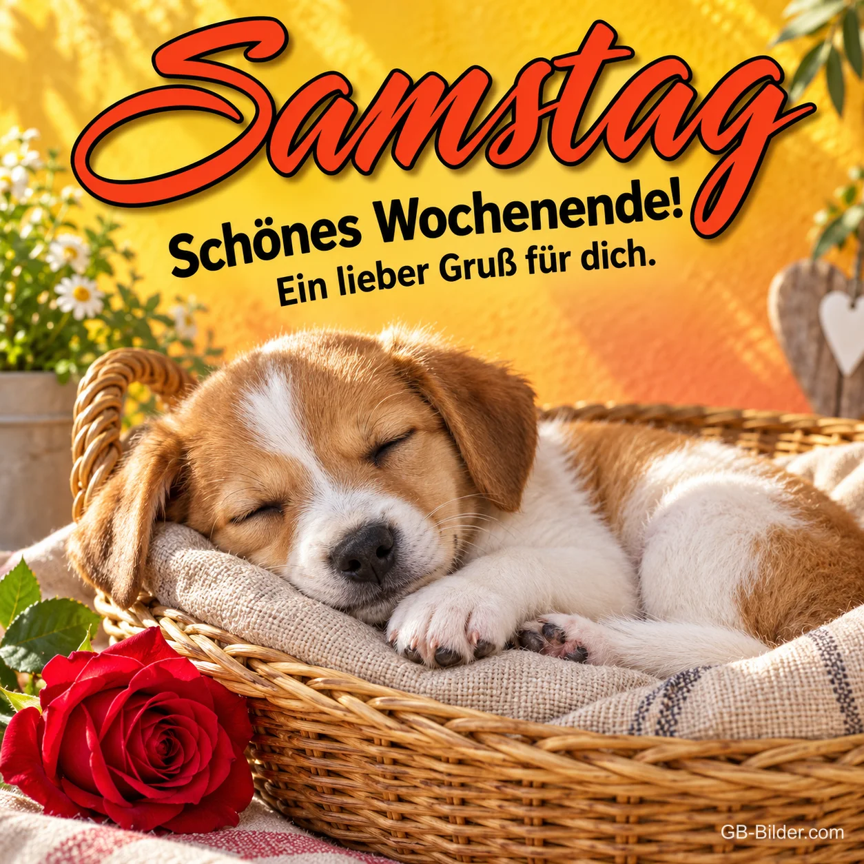 Welpe schläft in einem Korb neben einer roten Rose, Text: Samstag – Schönes Wochenende! Ein lieber Gruß für dich.