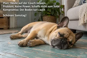 Schlafende Bulldogge, lustiger Spruch, Text: Plan: Heute auf der Couch relaxen