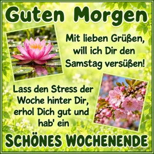 Seerose und Kirschblüten, Text: Guten Morgen
