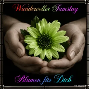 Hände halten eine grüne Blüte, Text: Wundervoller Samstag – Blumen für Dich
