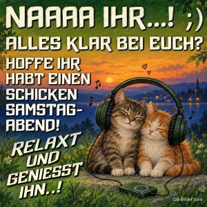 Zwei Katzen hören gemeinsam Musik mit Kopfhörern im Abendlicht, Text: NAAAA IHR…! ;) ALLES KLAR BEI EUCH? HOFFE IHR HABT EINEN SCHICKEN SAMSTAGABEND! RELAXT UND GENIESST IHN..!