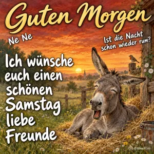 Lachender Esel im Heu, Text: Guten Morgen