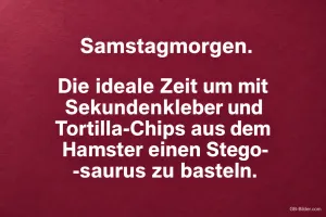Weiße Schrift auf dunkelrotem Hintergrund, Text: Samstagmorgen. Die ideale Zeit um mit Sekundenkleber und Tortilla-Chips aus dem Hamster einen Stegosaurus zu basteln.