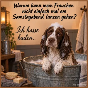 Spaniel mit Schaum in einer Zinkwanne, lustiger Spruch: Ich hasse baden
