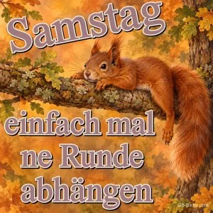 Entspanntes Eichhörnchen auf einem Ast, Text: Samstag – einfach mal ne Runde abhängen