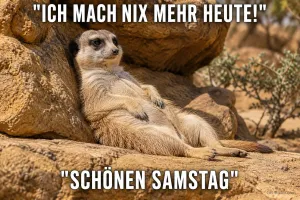 Faules Erdmännchen am Felsen, Text: Ich mach nix mehr heute! Schönen Samstag