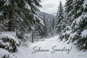 Verschneiter Tannenwald, Text: Schönen Samstag