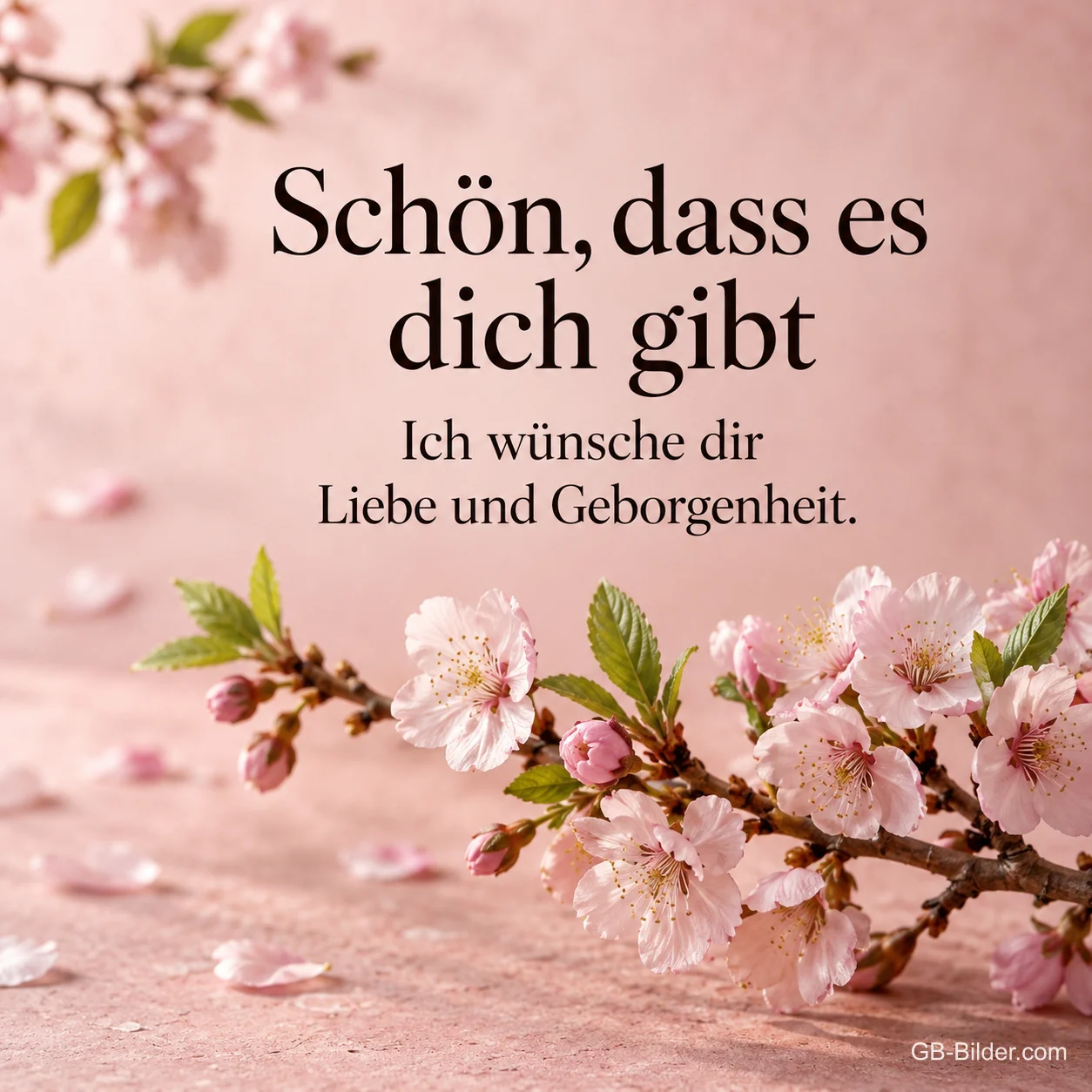 Kirschblütenzweig auf Rosa, Text: Schön, dass es dich gibt