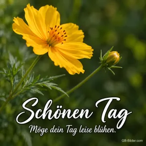 Gelbe Blüte vor grünem Hintergrund, Text: Schönen Tag – Möge dein Tag leise blühen.