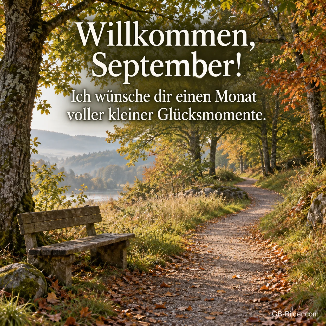 Bank am Waldweg im Frühherbst, Text: Willkommen, September! Bank am Waldweg im Frühherbst, Text: Willkommen, September!
