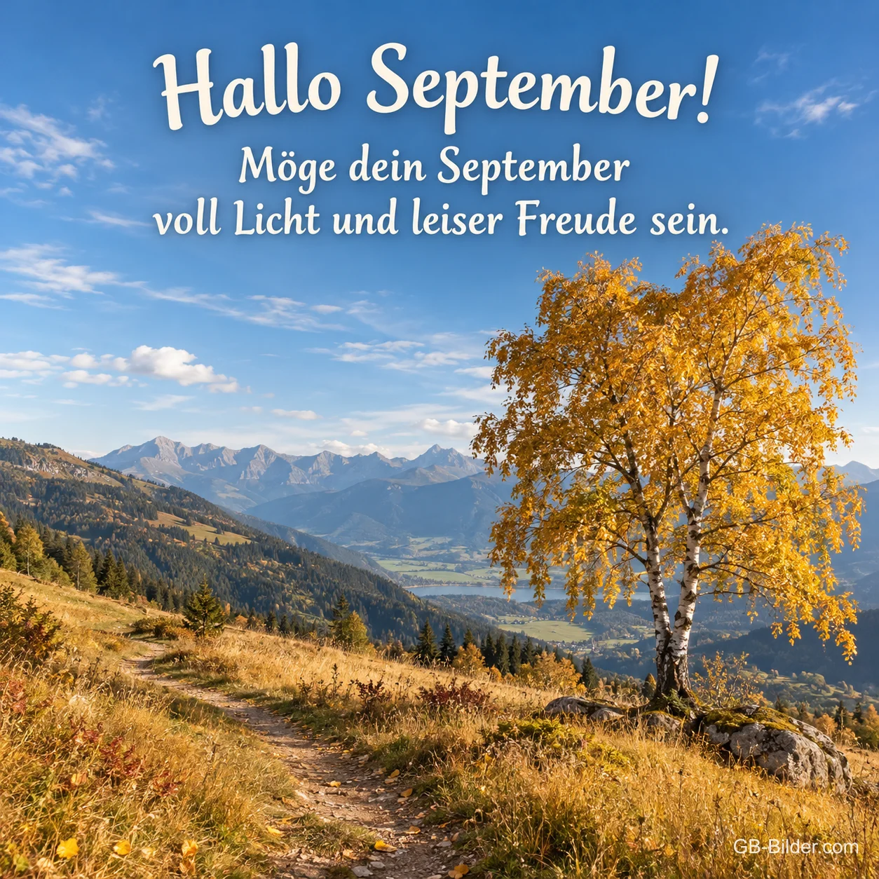 Goldene Birke am Bergweg, Text: Hallo September! Goldene Birke am Bergweg, Text: Hallo September!