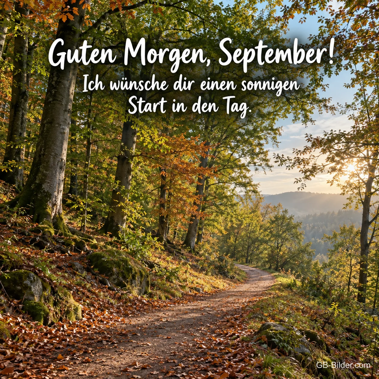Waldweg im Herbst, Text: Guten Morgen, September! Waldweg im Herbst, Text: Guten Morgen, September!