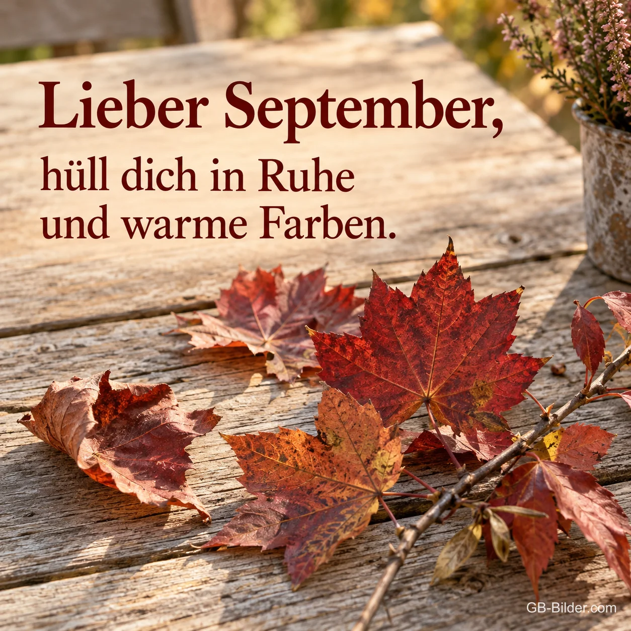 Ahornlaub auf Holz, Text: Lieber September, hüll dich in Ruhe und warme Farben. Ahornlaub auf Holz, Text: Lieber September, hüll dich in Ruhe und warme Farben.