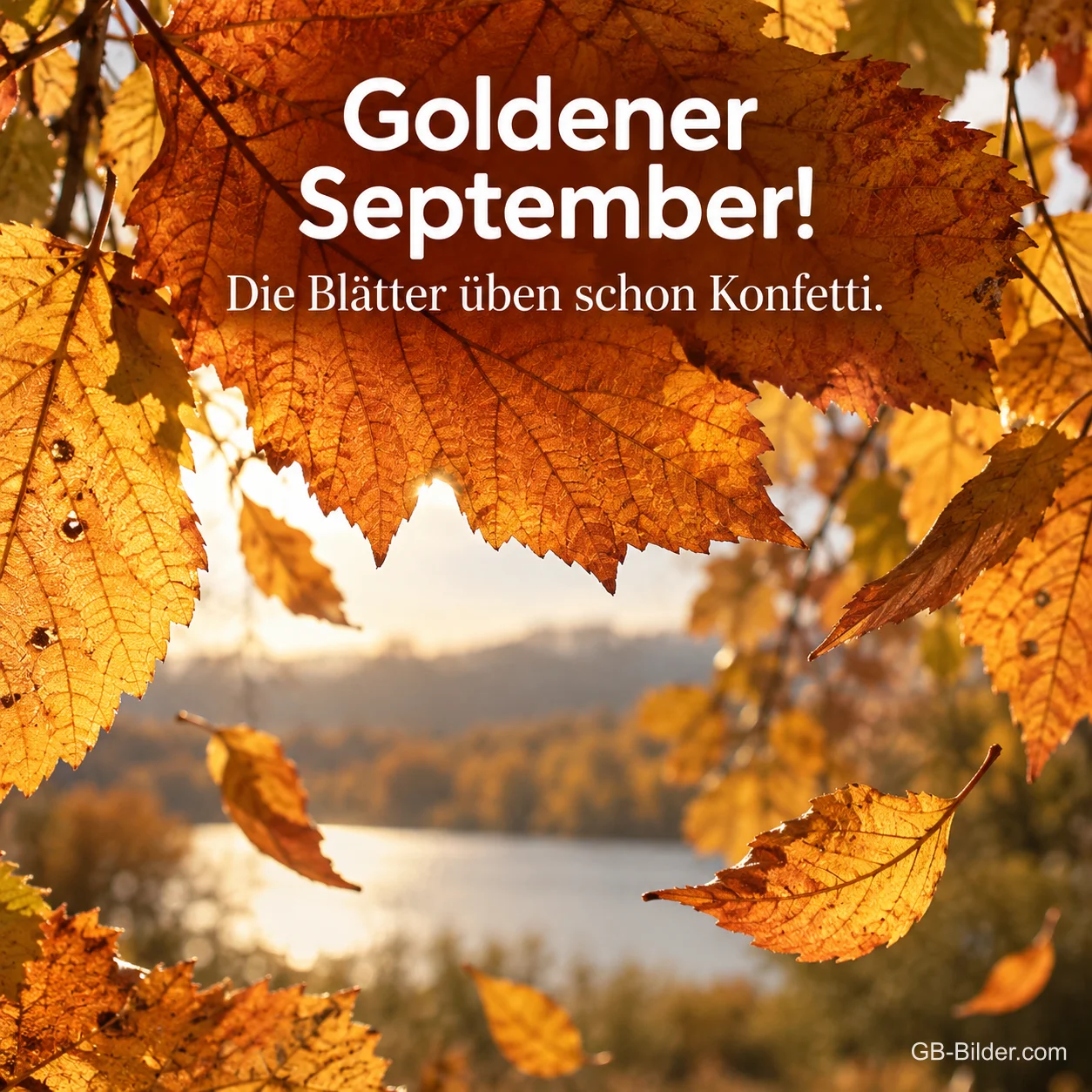 Goldenes Herbstlaub über einem See, lustiger Text: Goldener September! Die Blätter üben schon Konfetti. Goldenes Herbstlaub über einem See, lustiger Text: Goldener September! Die Blätter üben schon Konfetti.