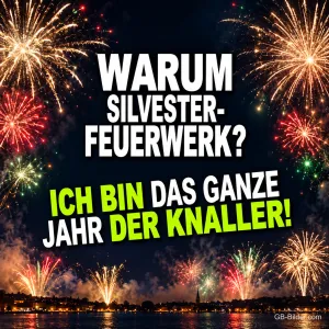 Buntes Feuerwerk über einer Stadt am Wasser, Text: WARUM SILVESTER-FEUERWERK? – ICH BIN DAS GANZE JAHR DER KNALLER!