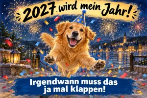 Golden Retriever mit Partyhut springt durch Konfetti und Feuerwerk, Text: 2027 wird mein Jahr! – Irgendwann muss das ja mal klappen!