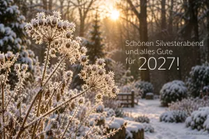 Gräser mit Raureif in einem verschneiten Wald bei Sonnenuntergang, Text: Schönen Silvesterabend – und alles Gute für 2027!