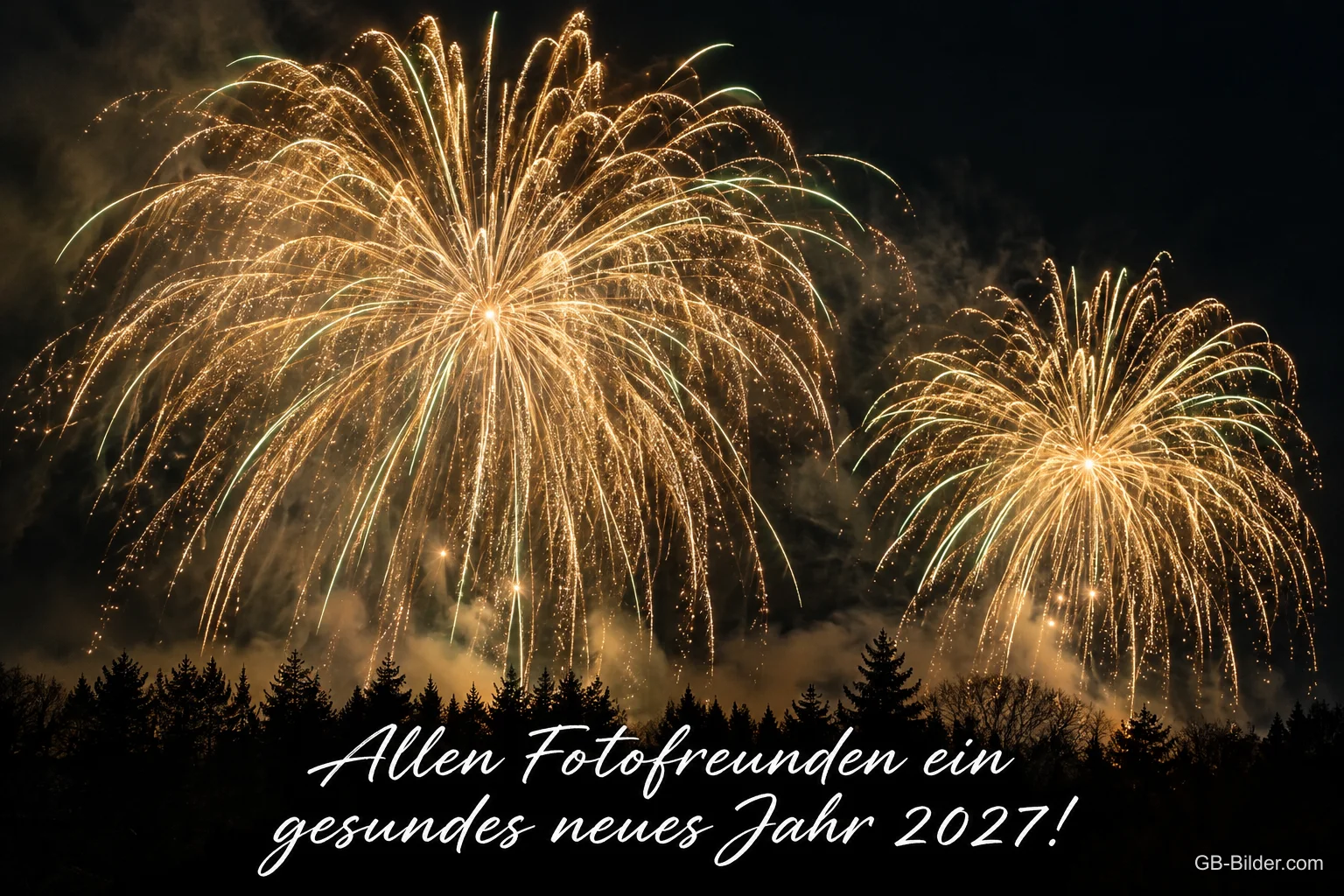 Goldenes Feuerwerk über einem Wald, Text: Allen Fotofreunden ein – gesundes neues Jahr 2027! Goldenes Feuerwerk über einem Wald, Text: Allen Fotofreunden ein – gesundes neues Jahr 2027!