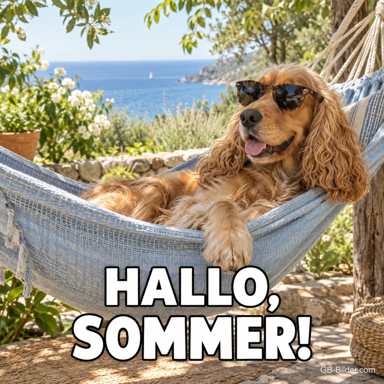 Hund mit Sonnenbrille in der Hängematte, Text: Hallo, Sommer! Hund mit Sonnenbrille in der Hängematte, Text: Hallo, Sommer!
